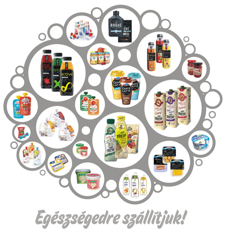 Import- Trade Hungary Kft.